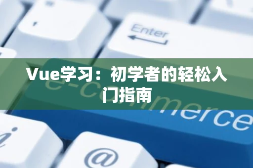 Vue学习：初学者的轻松入门指南