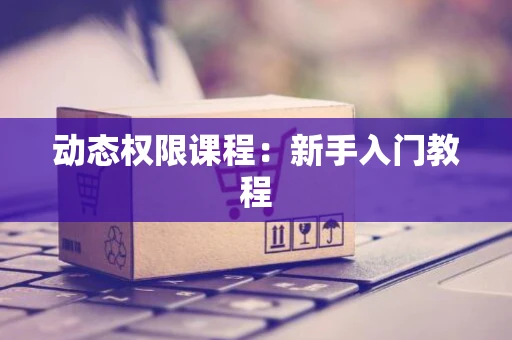 动态权限课程：新手入门教程
