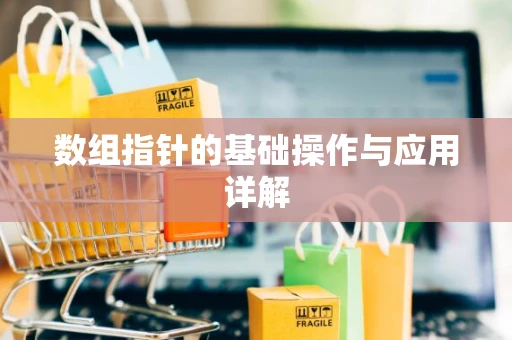 数组指针的基础操作与应用详解