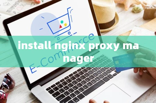install nginx proxy manager