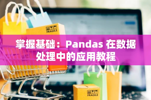 掌握基础：Pandas 在数据处理中的应用教程