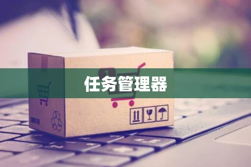 任务管理器