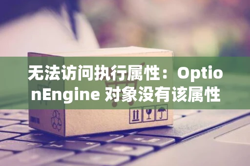 无法访问执行属性：OptionEngine 对象没有该属性