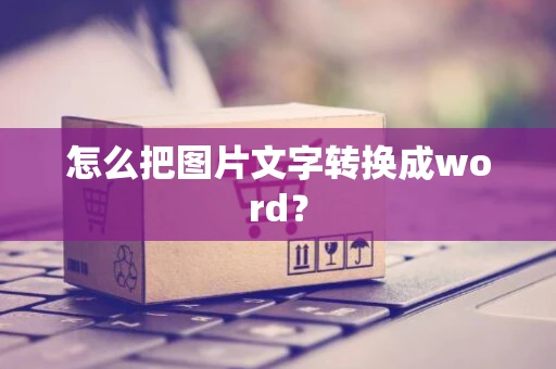 怎么把图片文字转换成word？