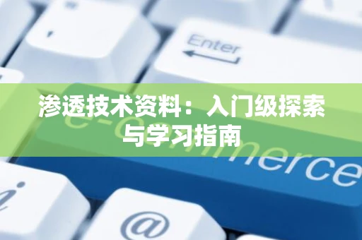 渗透技术资料：入门级探索与学习指南