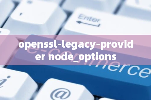 openssl-legacy-provider node_options