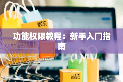 功能权限教程：新手入门指南