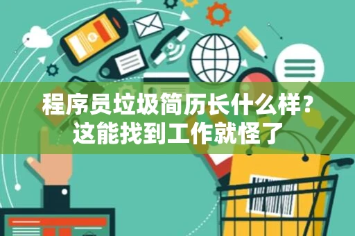 程序员垃圾简历长什么样？这能找到工作就怪了