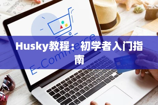 Husky教程：初学者入门指南