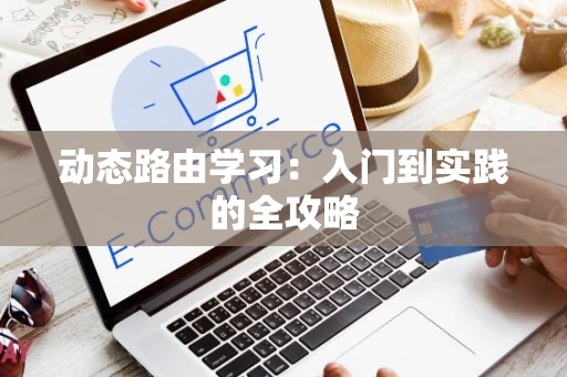 动态路由学习：入门到实践的全攻略