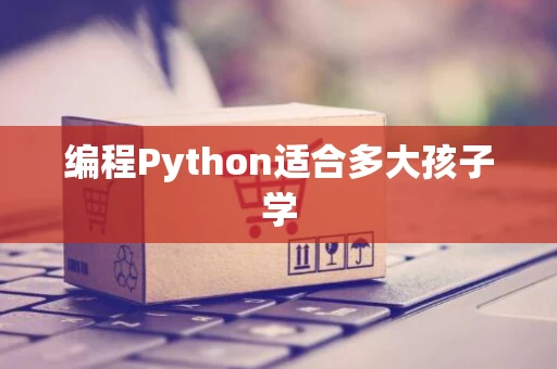 编程Python适合多大孩子学