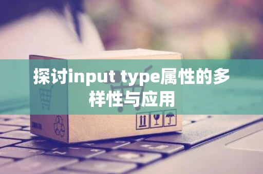 探讨input type属性的多样性与应用