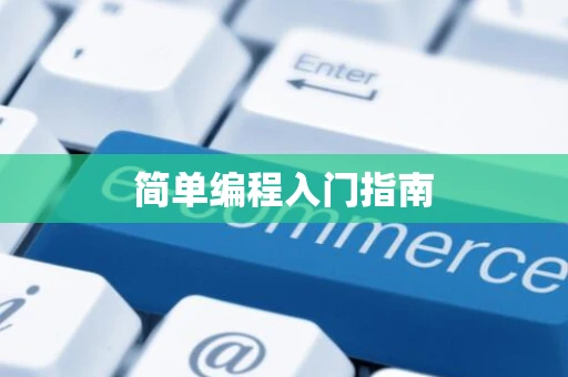 简单编程入门指南
