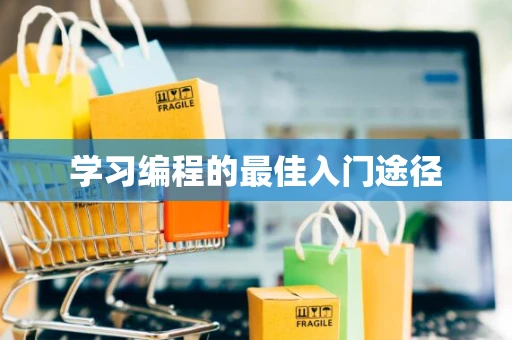 学习编程的最佳入门途径