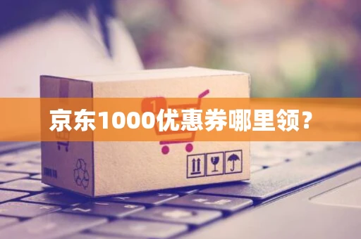 京东1000优惠券哪里领？