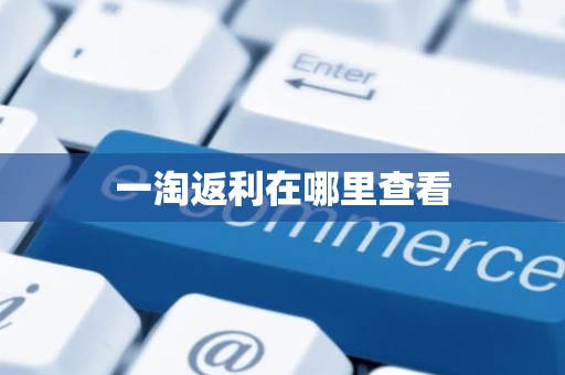 一淘返利在哪里查看