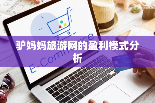 驴妈妈旅游网的盈利模式分析