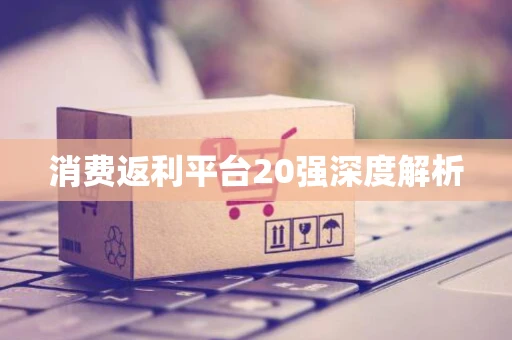 消费返利平台20强深度解析 消费返利平台20强深度解析