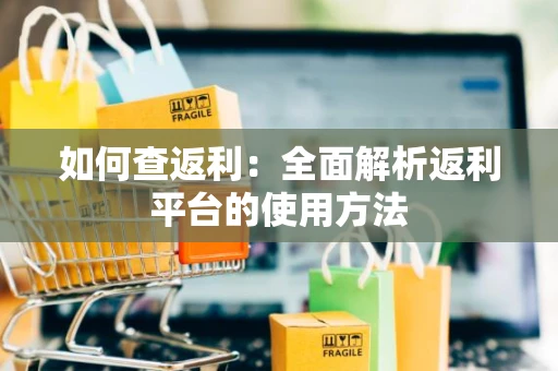 如何查返利：全面解析返利平台的使用方法