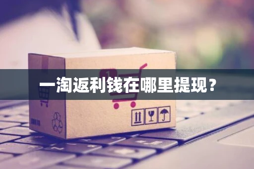 一淘返利钱在哪里提现？