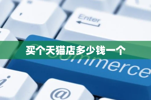 买个天猫店多少钱一个 买个天猫店多少钱一个