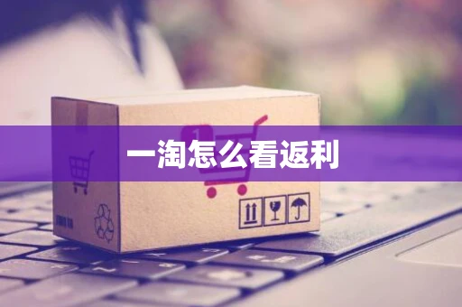 一淘怎么看返利