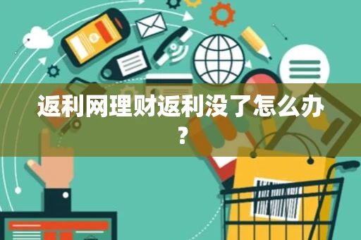 返利网理财返利没了怎么办？