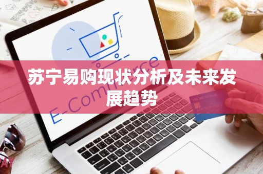 苏宁易购现状分析及未来发展趋势