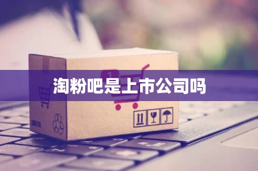 淘粉吧是上市公司吗