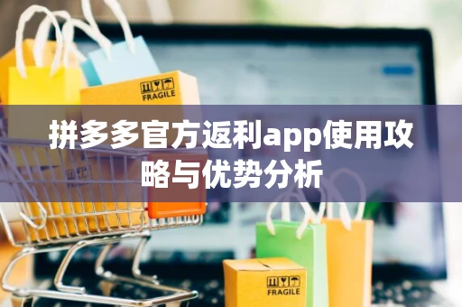 拼多多官方返利app使用攻略与优势分析