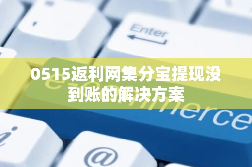 0515返利网集分宝提现没到账的解决方案