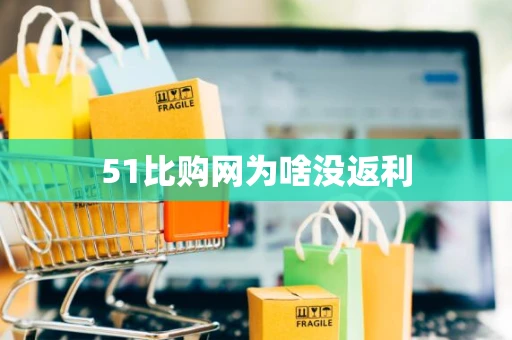 51比购网为啥没返利