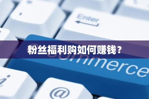 粉丝福利购如何赚钱? 粉丝福利购如何赚钱?