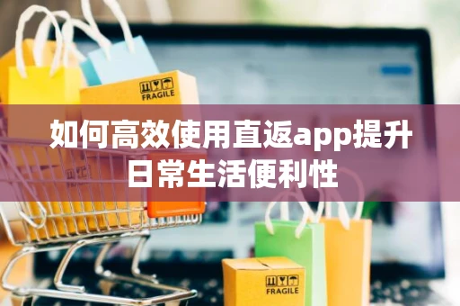 如何高效使用直返app提升日常生活便利性