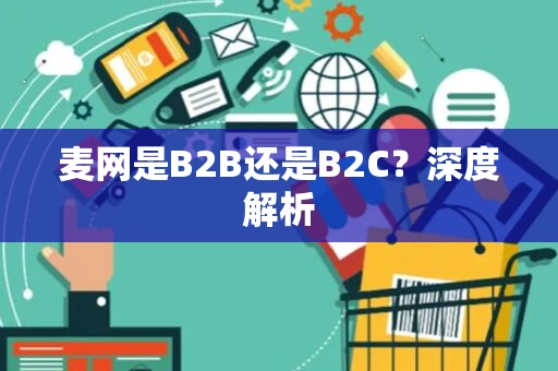 麦网是B2B还是B2C？深度解析