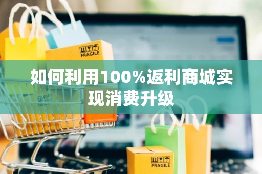 如何利用100%返利商城实现消费升级