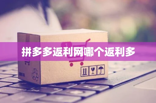 拼多多返利网哪个返利多