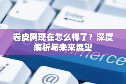 卷皮网现在怎么样了？深度解析与未来展望