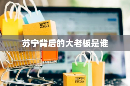 苏宁背后的大老板是谁