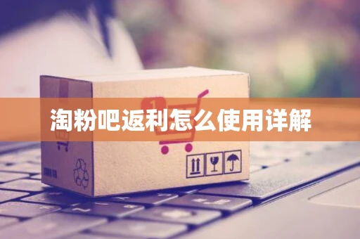 淘粉吧返利怎么使用详解
