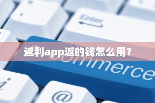 返利app返的钱怎么用？