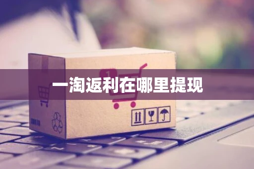 一淘返利在哪里提现