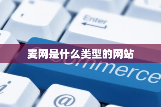 麦网是什么类型的网站