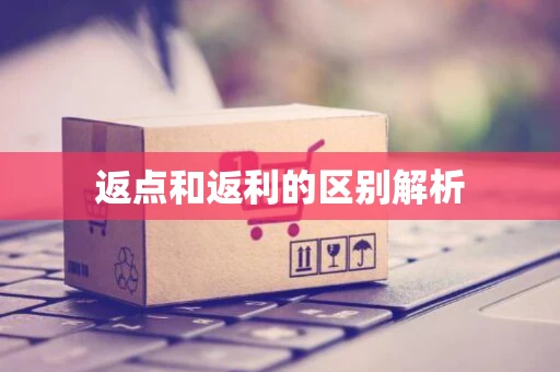返点和返利的区别解析