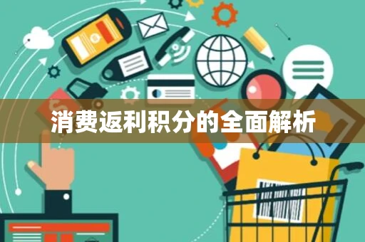 消费返利积分的全面解析