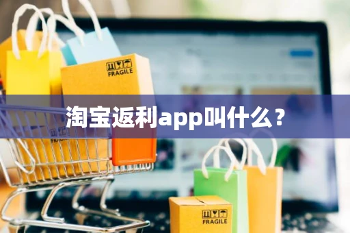 淘宝返利app叫什么？