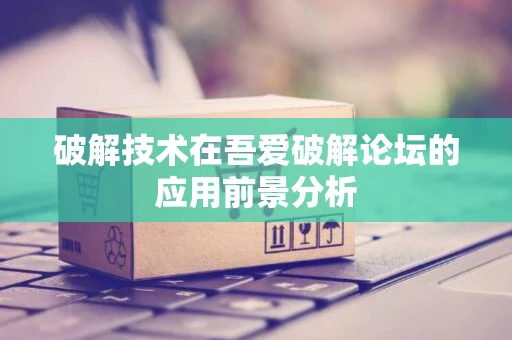 破解技术在吾爱破解论坛的应用前景分析