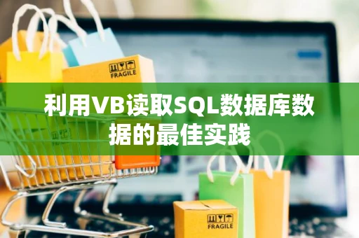 利用VB读取SQL数据库数据的最佳实践