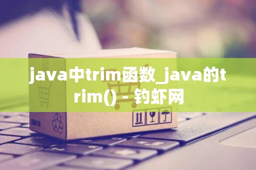 java中trim函数_java的trim() - 钓虾网