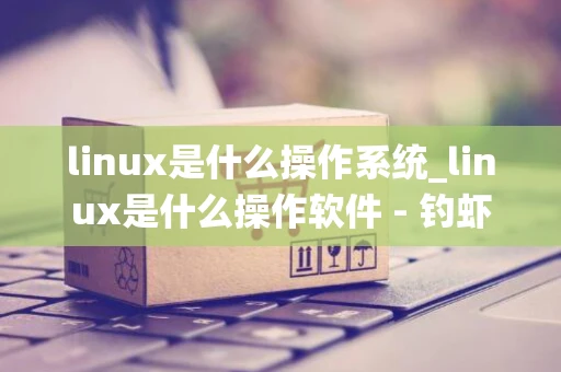 linux是什么操作系统_linux是什么操作软件 - 钓虾网